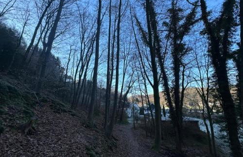 Erholung in der Freiheit - Photo 39