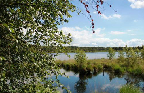 Fachwerk-Ferienhaus, Ruhe auf dem Land, Haustiere willkommen, Leihfahrräder, 24-7 check in - Foto 48