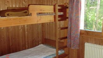 Les passereaux - Photo 3