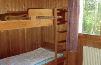 Les passereaux - Photo 3