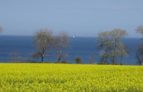 Ferienbauernhof Liesenberg Meerblickhaus Strandmuschel - Foto 51