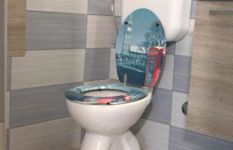 Apartments Vila Mileva - Foto 15