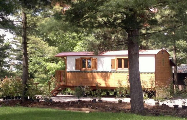 Agriturismo La Margherita - Golf Girasoli - Photo 9