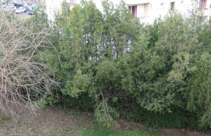 Appartement T3-4 meublé Toulouse Soupetard - Photo 18