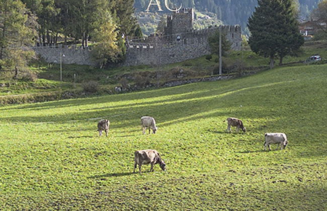 Sesto Senso in Ponte di Legno - Foto 51