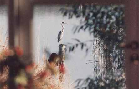 Atelierhaus am Bodden FeWo A oben - Photo 11