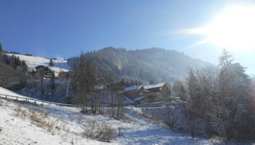 Appartement spacieux 3* - 6 pers avec balcon à Châtel - FR-1-198-184 - Foto 3