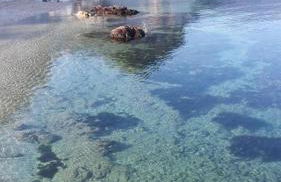 Villa Gianfelici - Foto 10