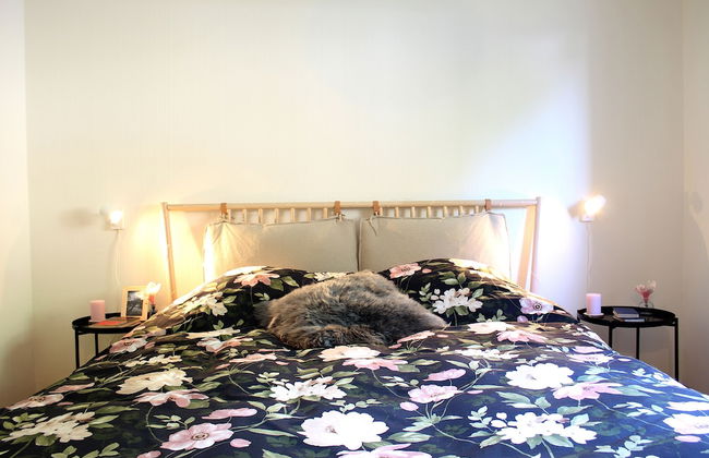 Central & Cozy - Rainbow A - Foto 16