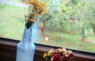 Agroturystyka Zaborski Sad - Foto 19