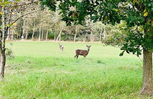 Ash Retreat Hot Tub - Foto 36