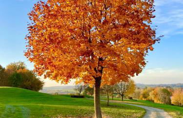 Golfchalet Heidi Uttlau-Bad Griesbach - Foto 39