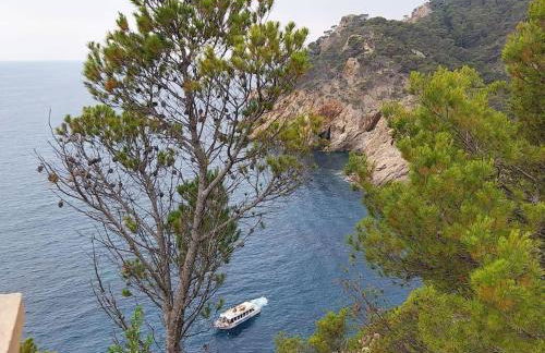 Cala Salions Balandro II Tossa de mar - Foto 25