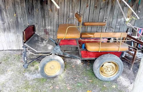 Agroturystyka Zielony Zakątek - Foto 73