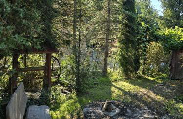 Domek pod Wiewiórką digital detox & balance - Foto 13