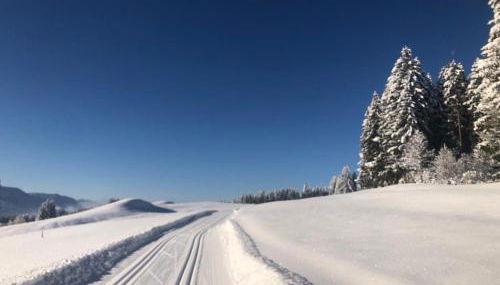 Fewo in Tiefenberg/ Allgäu - Foto 3