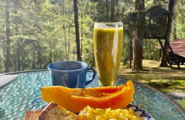 Chalé de luxo pertinho de Monte Verde - Foto 9