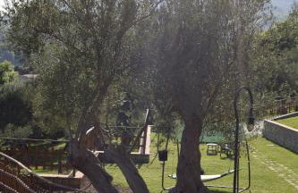 Al Boschetto - Photo 62