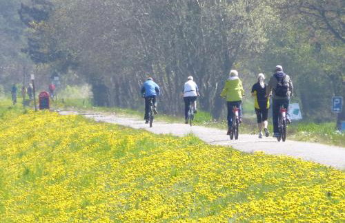 Steinbock-Ferienwohnungen - Foto 23