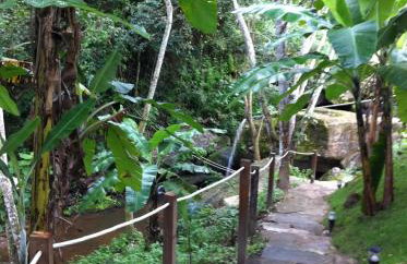 Sitio Alto da Montanha - você em paz com a natureza - Foto 50