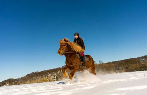 Ferienhof Homann Sauerland - Foto 18