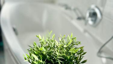 Wendelsteiner Freizeitoase - Foto 3