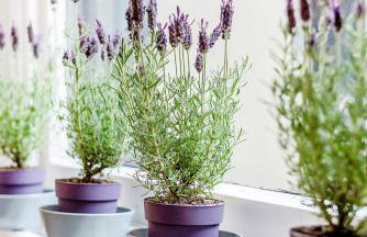 PHENOMENAL 5bedroom DESIGN HOUSE FOR NOMADS XXL GROUPS - Foto 24