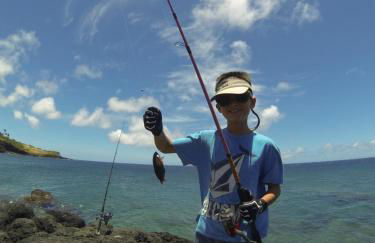 Kohala Lodge- Vacation Rental House - Foto 32