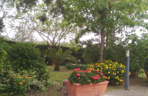 Vivienda Turística Rural Mari Carmen - Foto 49