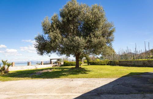 Elysium House - Slow Garden Retreat in Ischia - Foto 13