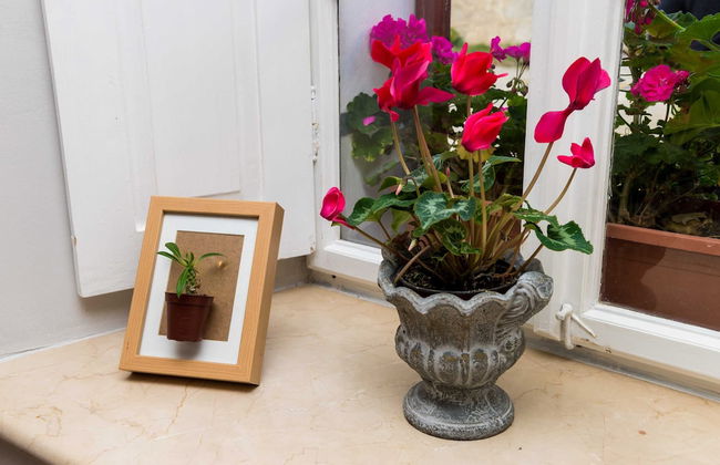 Villa Nives - Photo 17