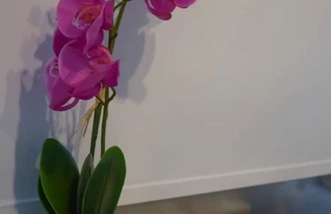 Kea Apartments - Foto 55