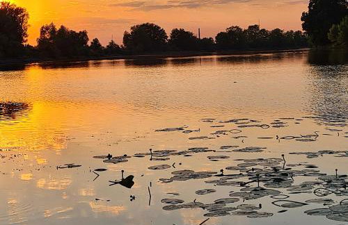 Ferienwohnung Havelnixe - Foto 22