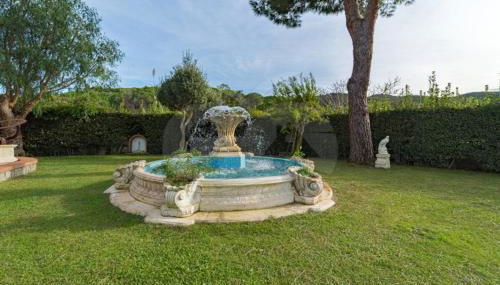 Albero del Pepe 2 - Goelba - Foto 3, Garden, Garden view