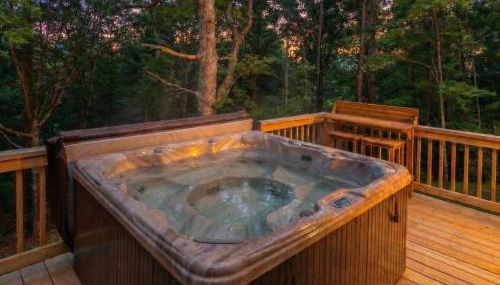 Modern Asheville Cabin Retreat - Foto 2