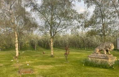 Orchard Retreat - Rural Cabin - Private Hot Tub! - Photo 15