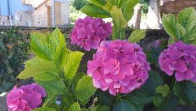 Apartamentos rurales Fuentefría - Foto 3