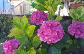 Apartamentos rurales Fuentefría - Foto 3