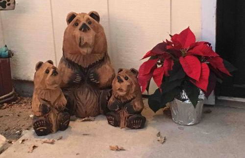 Sierra Sunset Cottage -Yosemite area vacation cottage - Foto 36