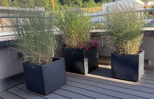 Premium Penthouse Parkblick - Foto 18