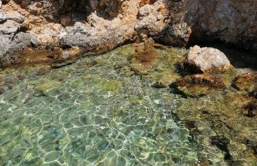 Apartman JURJEVIĆ - Photo 9