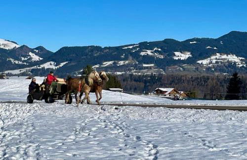 Ferienwohnung Deep Mountain - Foto 15