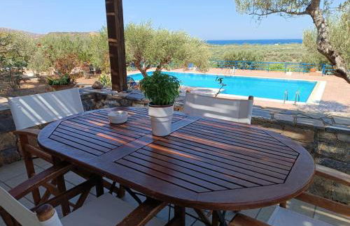 Olive Garden Houses - Photo 5