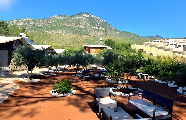 Coconut Apart - Foto 14