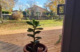 Appartement avec jardin à Saint Jean d'Illac - Foto 14