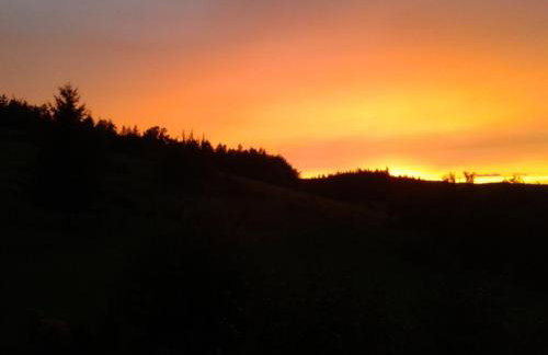 Górska Polana, Stronie Śląskie - Młynowiec - Foto 31