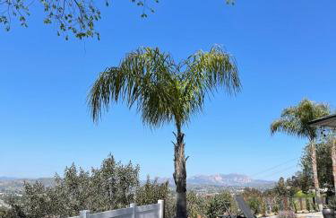 Avocado House - Foto 39