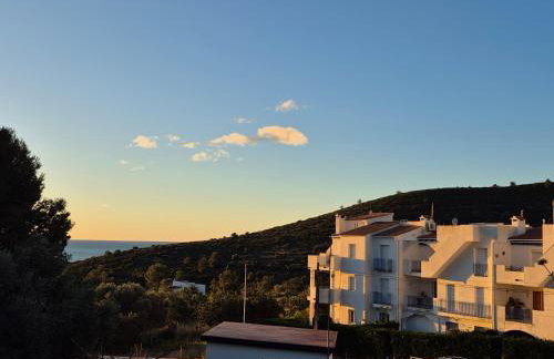 Montemar - Photo 3
