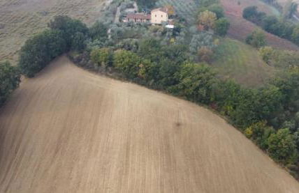 Tenuta Colverano - Foto 59