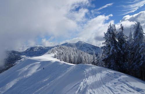 Ferienwohnung Drei Seen - Foto 41